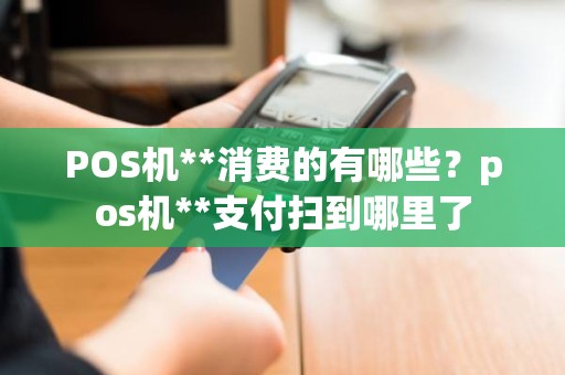 POS机**消费的有哪些？pos机**支付扫到哪里了