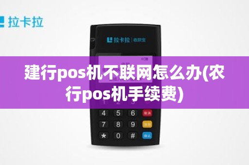 建行pos机不联网怎么办(农行pos机手续费)