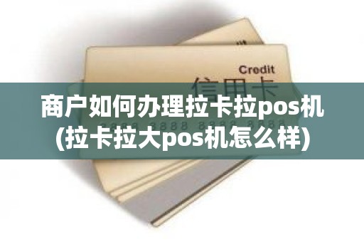 商户如何办理拉卡拉pos机(拉卡拉大pos机怎么样)