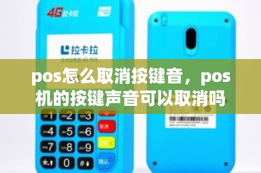 pos怎么取消按键音，pos机的按键声音可以取消吗