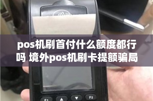 pos机刷首付什么额度都行吗 境外pos机刷卡提额骗局