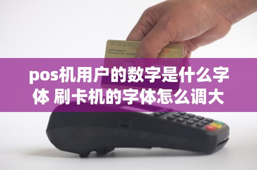 pos机用户的数字是什么字体 刷卡机的字体怎么调大