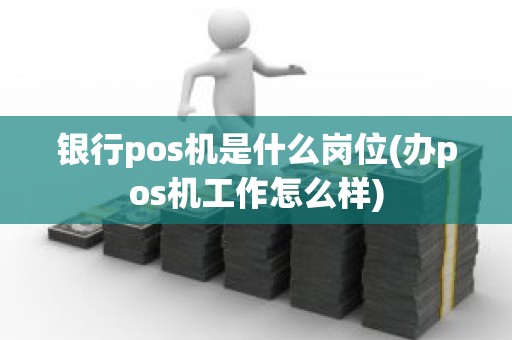 银行pos机是什么岗位(办pos机工作怎么样)