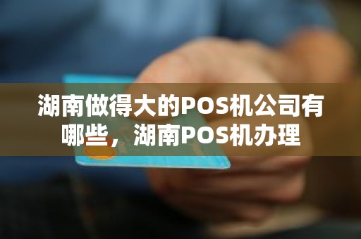 湖南做得大的POS机公司有哪些，湖南POS机办理
