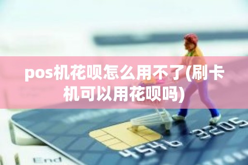 pos机花呗怎么用不了(刷卡机可以用花呗吗)