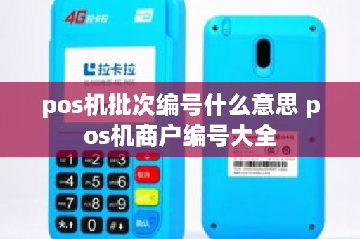 pos机批次编号什么意思 pos机商户编号大全