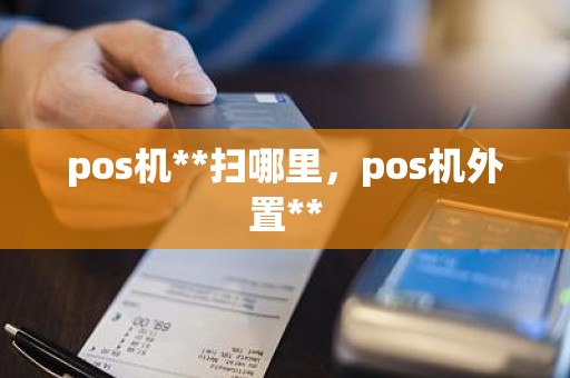 pos机**扫哪里，pos机外置**