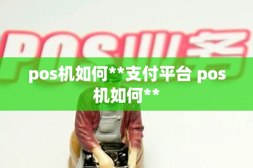pos机如何**支付平台 pos机如何**