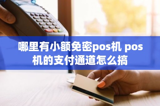 哪里有小额免密pos机 pos机的支付通道怎么搞