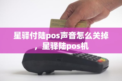 星驿付陆pos声音怎么关掉，星驿陆pos机