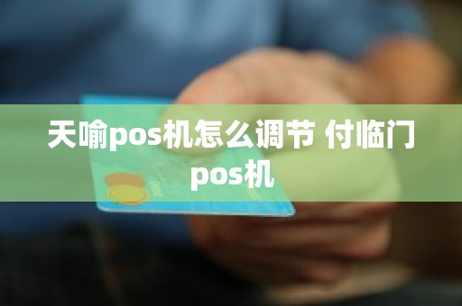 天喻pos机怎么调节 付临门pos机