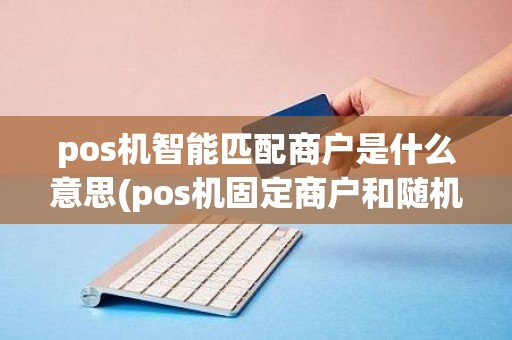 pos机智能匹配商户是什么意思(pos机固定商户和随机商户)