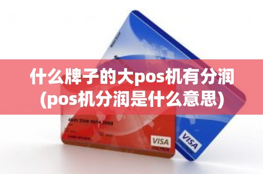 什么牌子的大pos机有分润(pos机分润是什么意思)