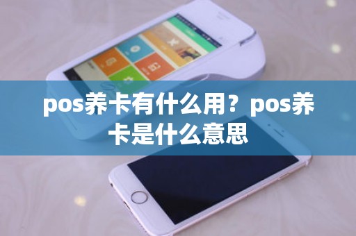 pos养卡有什么用？pos养卡是什么意思