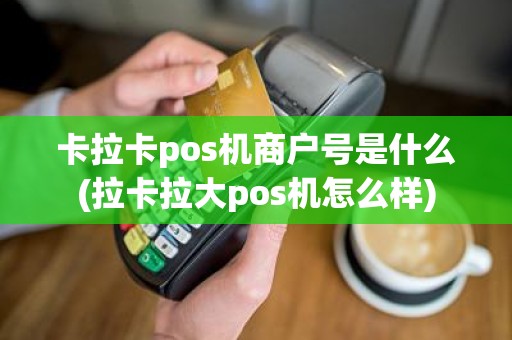 卡拉卡pos机商户号是什么(拉卡拉大pos机怎么样)