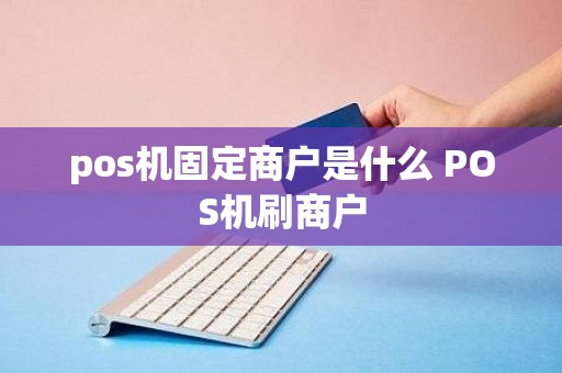 pos机固定商户是什么 POS机刷商户