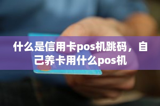 什么是信用卡pos机跳码，自己养卡用什么pos机