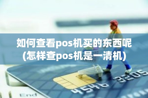 如何查看pos机买的东西呢(怎样查pos机是一清机)