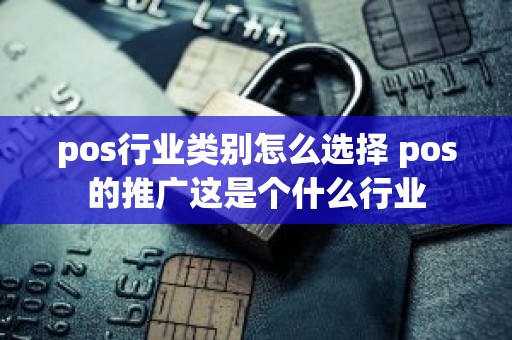pos行业类别怎么选择 pos的推广这是个什么行业