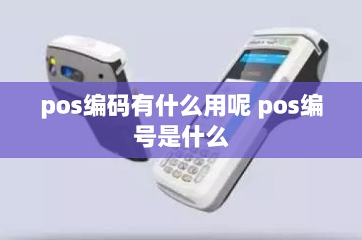 pos编码有什么用呢 pos编号是什么