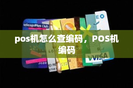 pos机怎么查编码，POS机编码