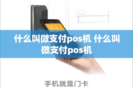 什么叫微支付pos机 什么叫微支付pos机