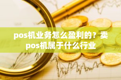 pos机业务怎么盈利的？卖pos机属于什么行业