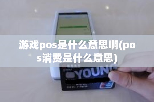 游戏pos是什么意思啊(pos消费是什么意思)