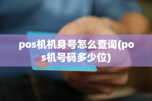 pos机机身号怎么查询(pos机号码多少位)