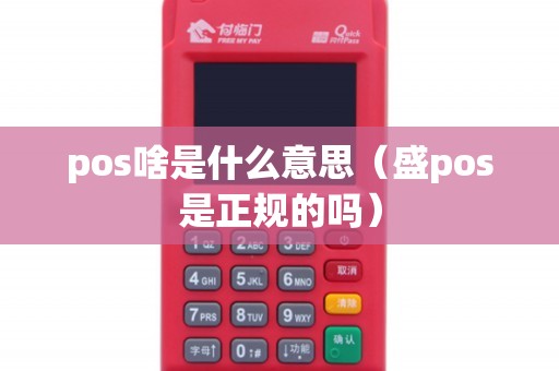 pos啥是什么意思（盛pos是正规的吗）