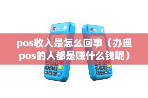 pos收入是怎么回事（办理pos的人都是赚什么钱呢）