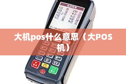 大机pos什么意思（大POS机）