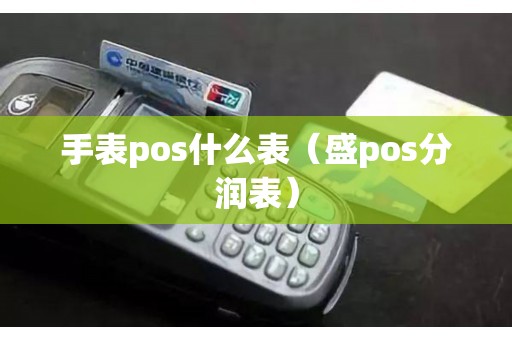 手表pos什么表（盛pos分润表）