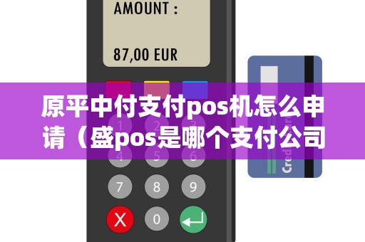 原平中付支付pos机怎么申请（盛pos是哪个支付公司的）