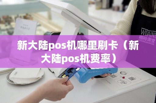 新大陆pos机哪里刷卡（新大陆pos机费率）