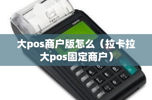 大pos商户版怎么（拉卡拉大pos固定商户）