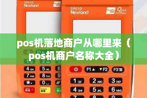 pos机落地商户从哪里来（pos机商户名称大全）