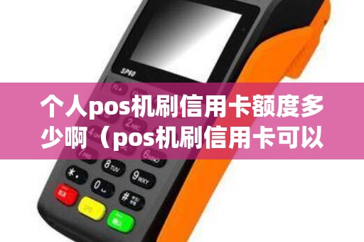 个人pos机刷信用卡额度多少啊（pos机刷信用卡可以分期吗）