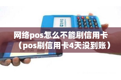 网络pos怎么不能刷信用卡（pos刷信用卡4天没到账）