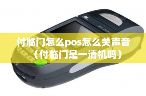 付临门怎么pos怎么关声音（付临门是一清机吗）