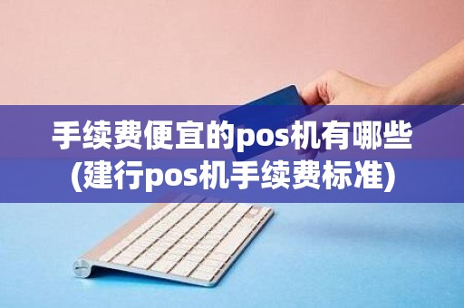 手续费便宜的pos机有哪些(建行pos机手续费标准)
