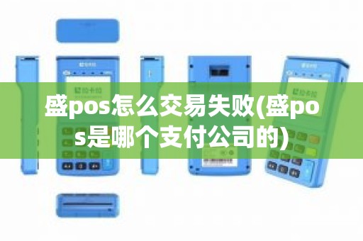 盛pos怎么交易失败(盛pos是哪个支付公司的)