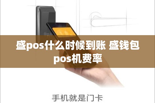 盛pos什么时候到账 盛钱包pos机费率 盛pos什么时候到账 盛钱包pos机费率