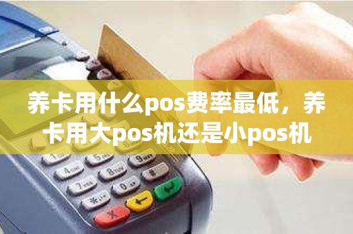 养卡用什么pos费率最低,养卡用大pos机还是小pos机好 养卡用什么pos费率最低,养卡用大pos机还是小pos机好