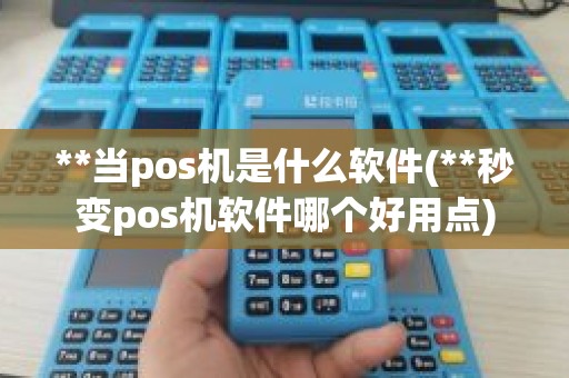 **当pos机是什么软件(**秒变pos机软件哪个好用点)