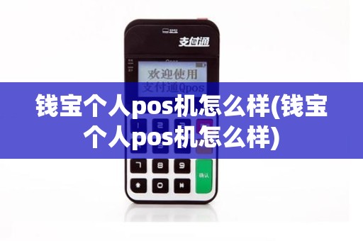 钱宝个人pos机怎么样(钱宝个人pos机怎么样)