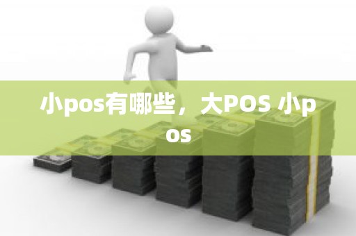 小pos有哪些，大POS 小pos