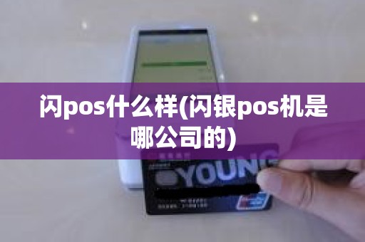 闪pos什么样(闪银pos机是哪公司的)