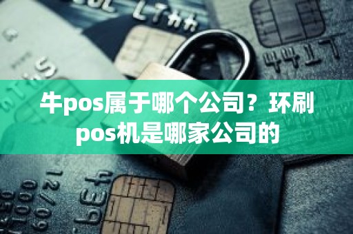 牛pos属于哪个公司？环刷pos机是哪家公司的