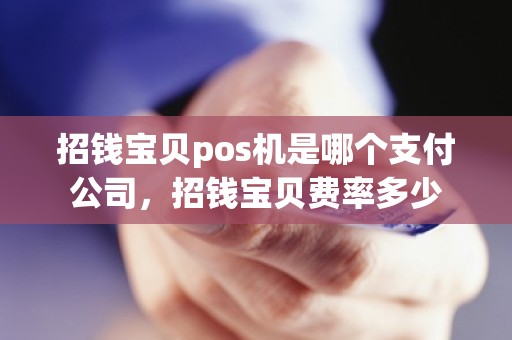 招钱宝贝pos机是哪个支付公司，招钱宝贝费率多少